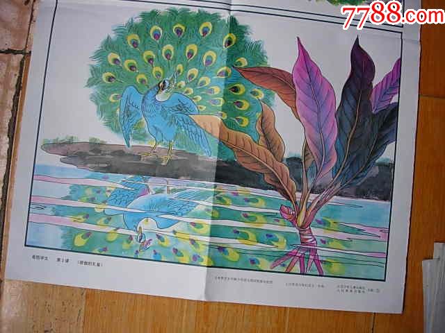 教学挂图--《骄傲的孔雀》002