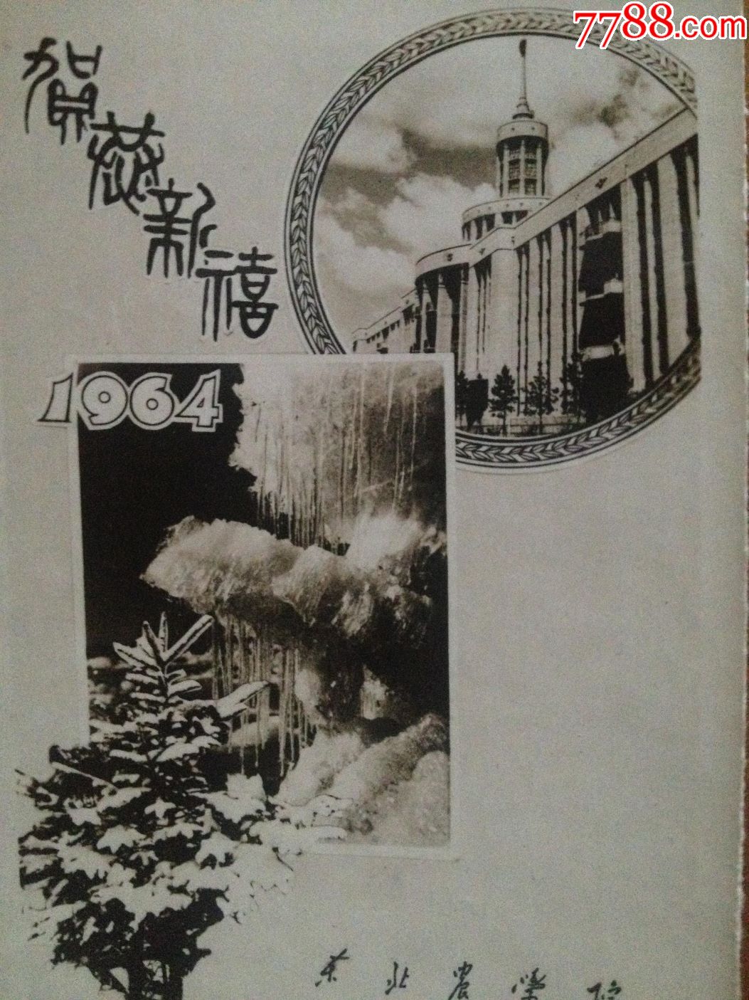 贺年照片--东北林学院1963