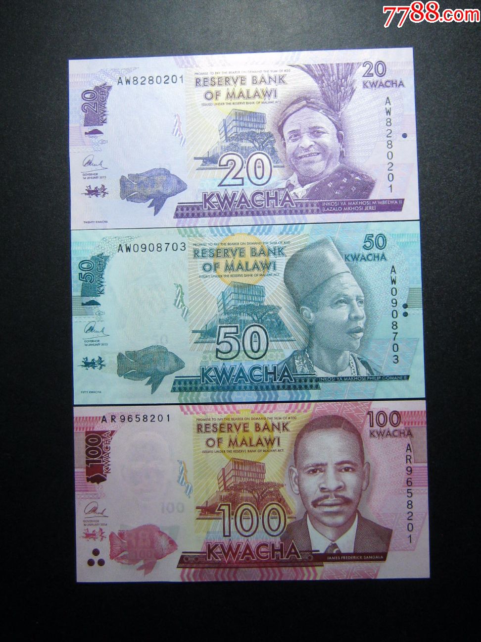 套币马拉维2050100克瓦查三张套全新unc外国钱币包真钞非洲