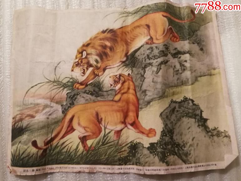 特价1955年16开年画宣传画狮子图包老