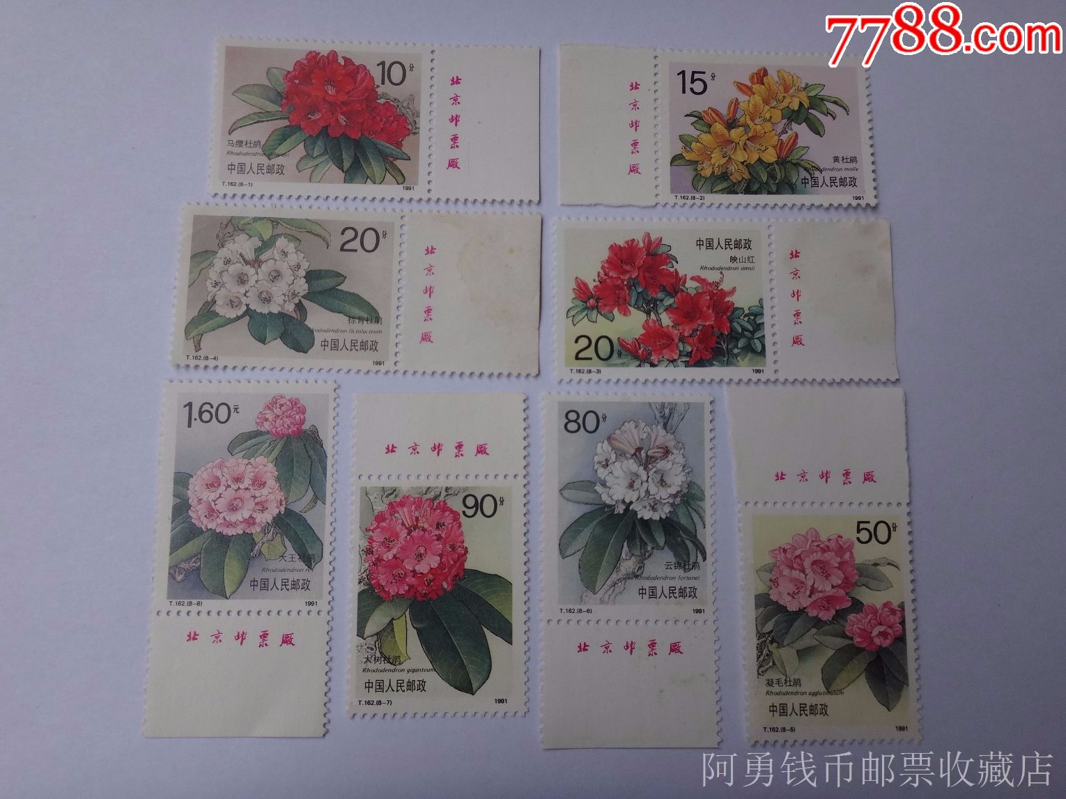 1991年t162杜鹃花邮票