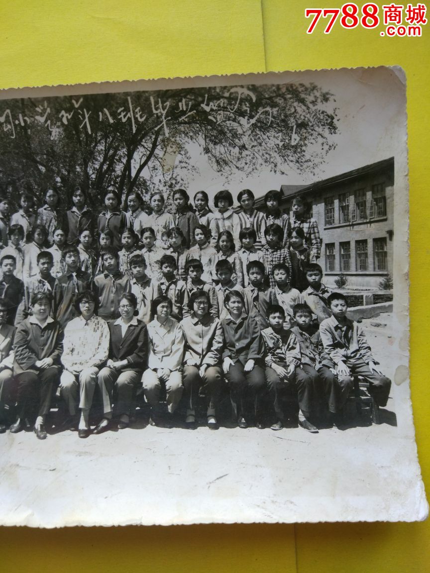 1982年马家沟小学五年八班毕业留念老照片