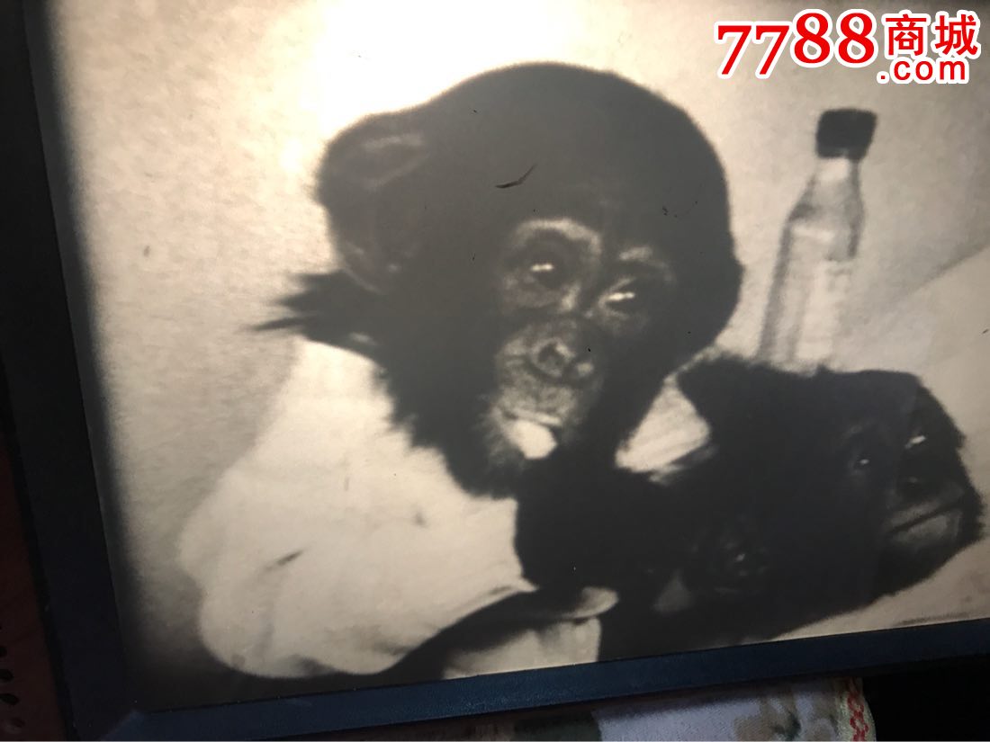 8mM有声CHINONVD电影机!可以在屏幕上看,可