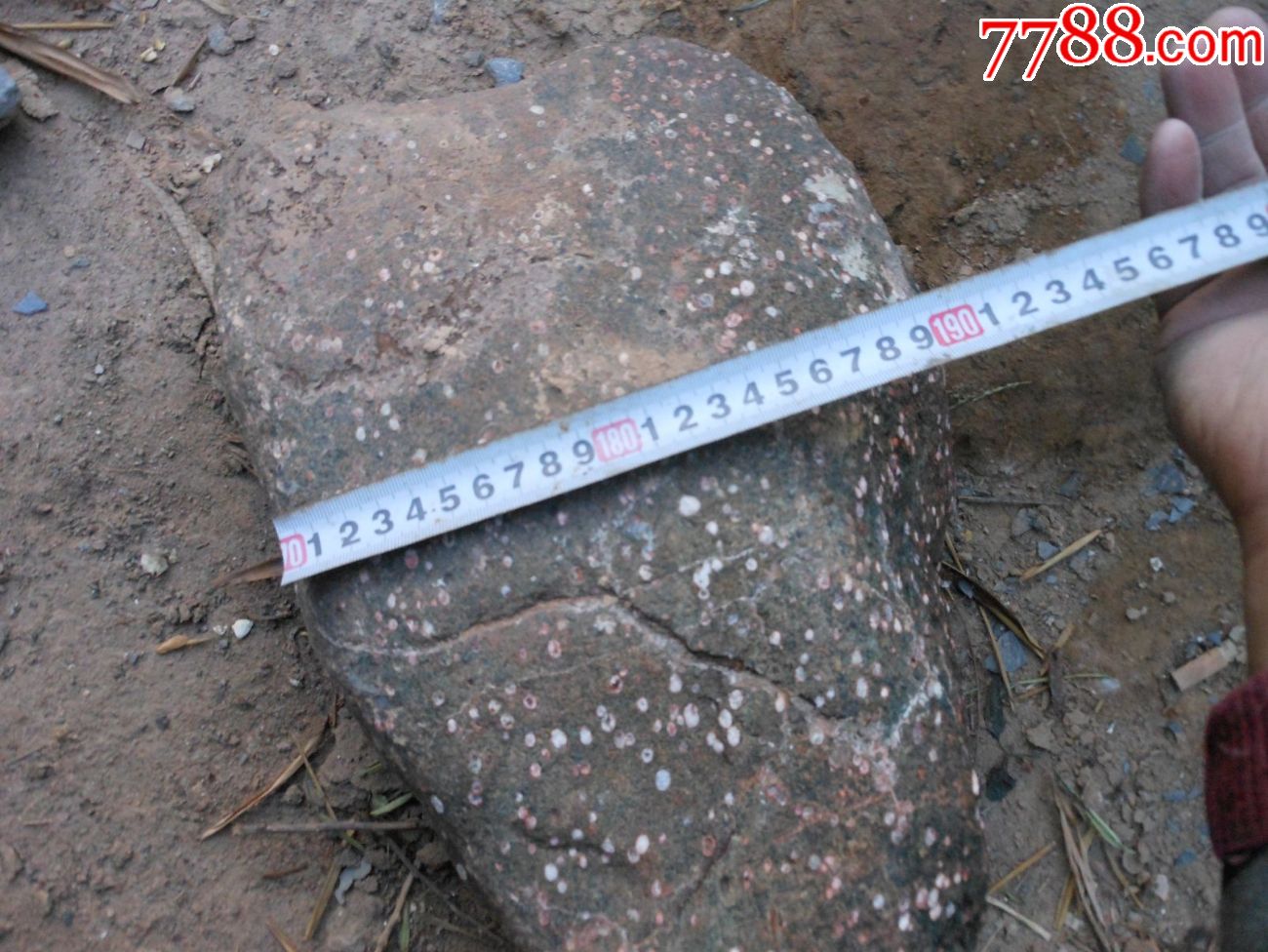 奇石摆件天然原石;梅花石红梅珍珠点35厘米*23厘米*16