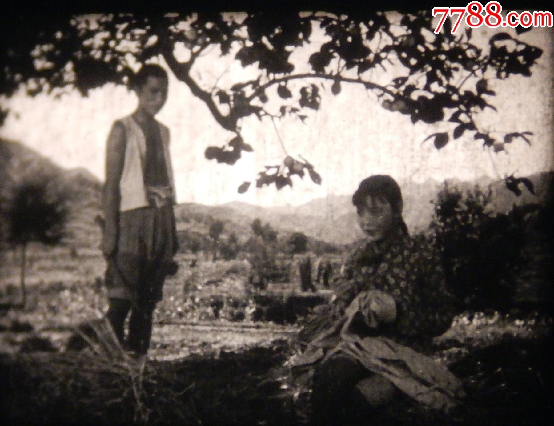 电影拷贝,16mm电影胶片,经典老电影黑白故事片【白毛女】