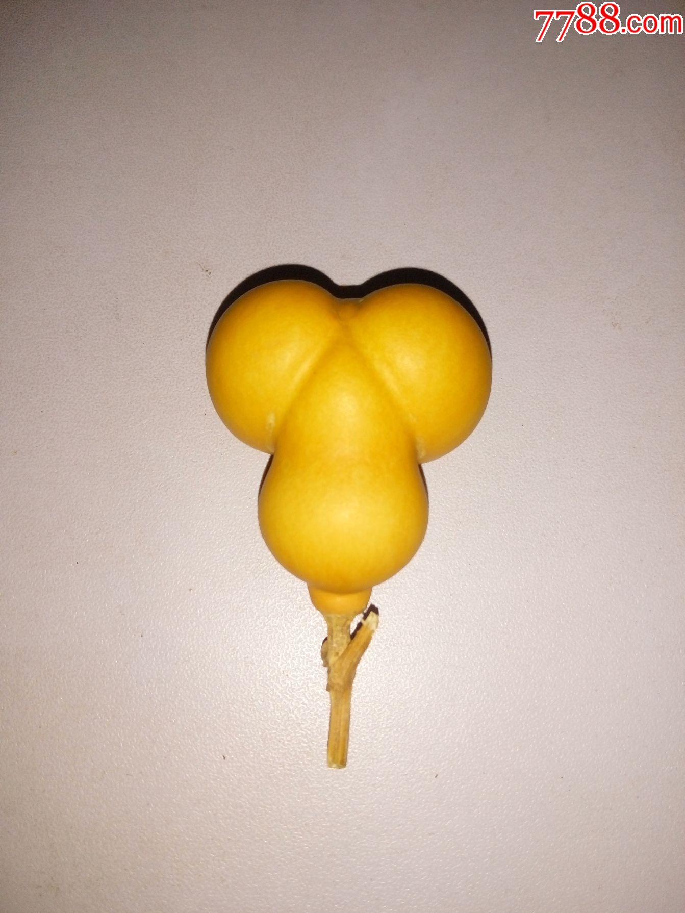 小金蟾葫芦文玩葫芦勒扎葫芦