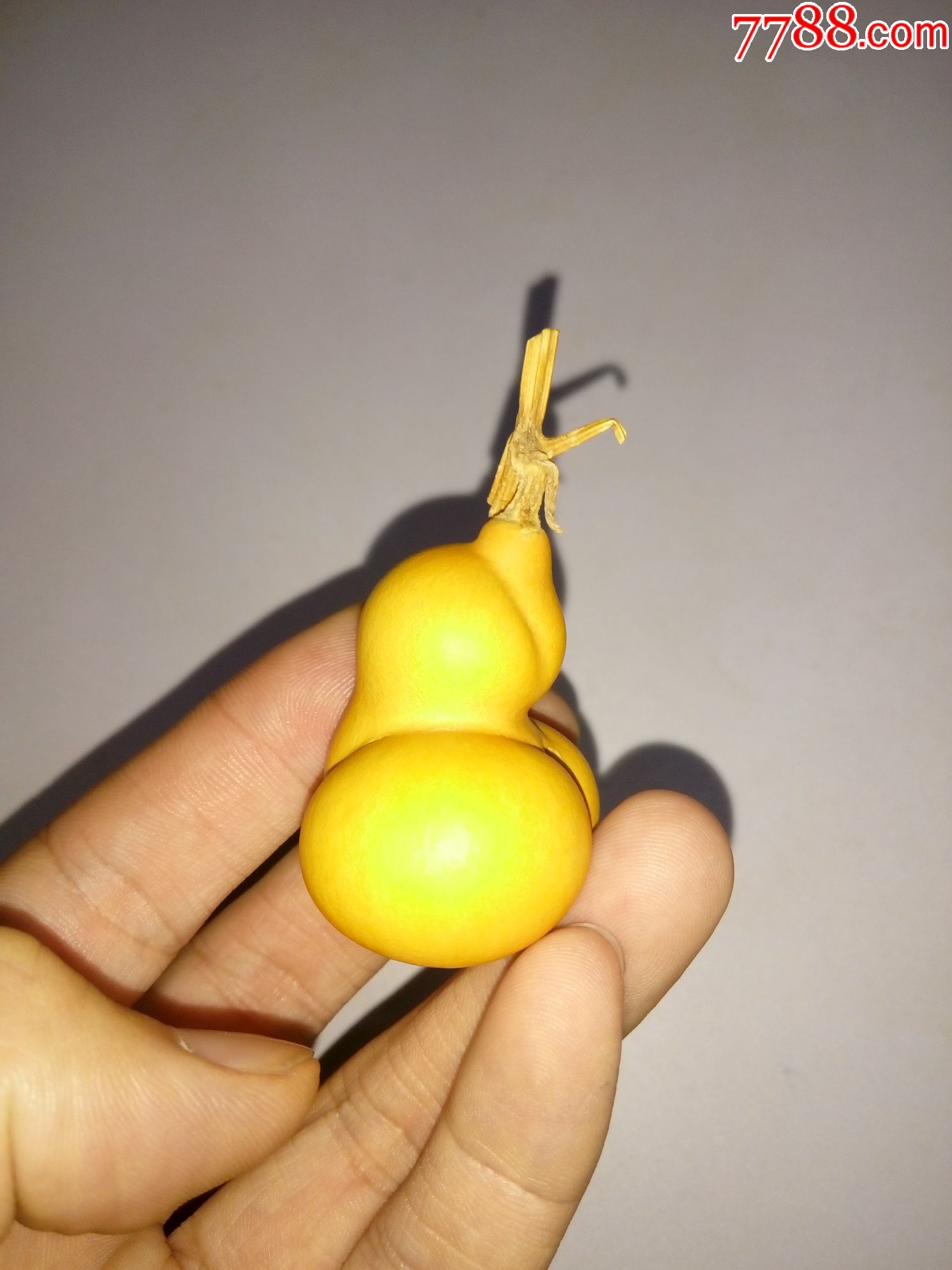 小金蟾葫芦文玩葫芦勒扎葫芦
