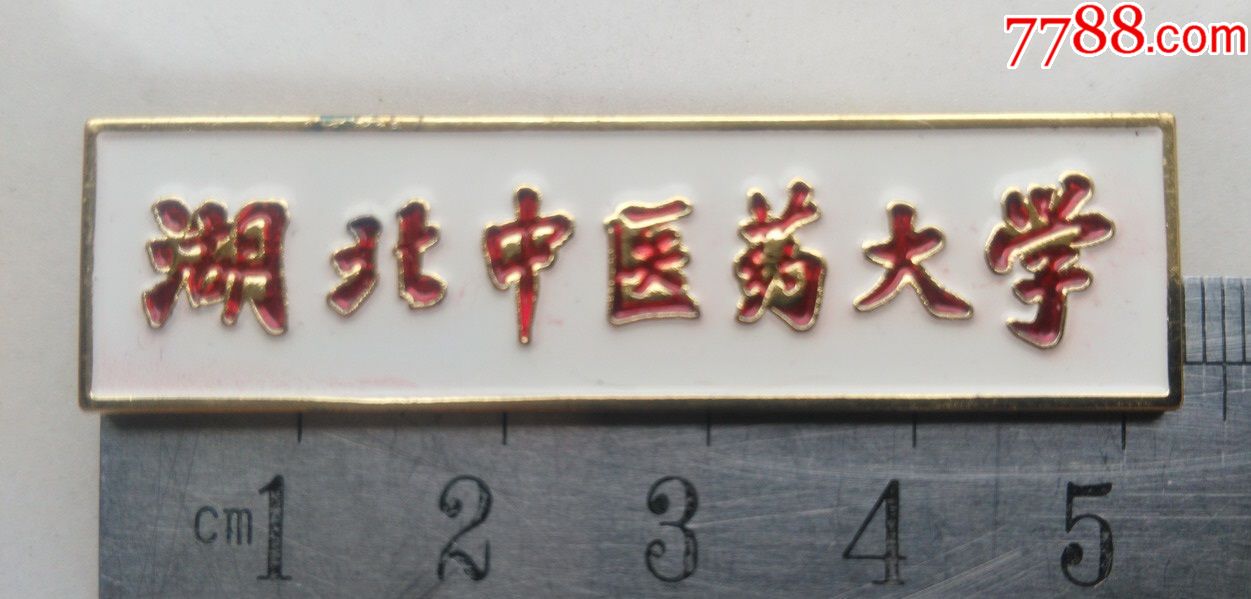湖北中医药大学,校徽/毕业章,校徽/校牌,大学,其他金属,21世纪10年代