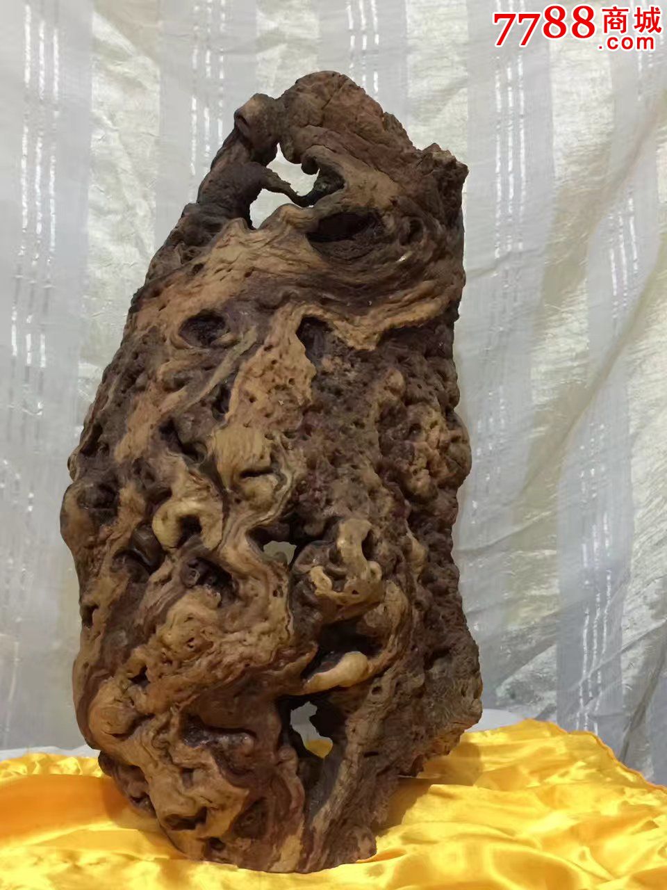 新疆哈密拐枣木