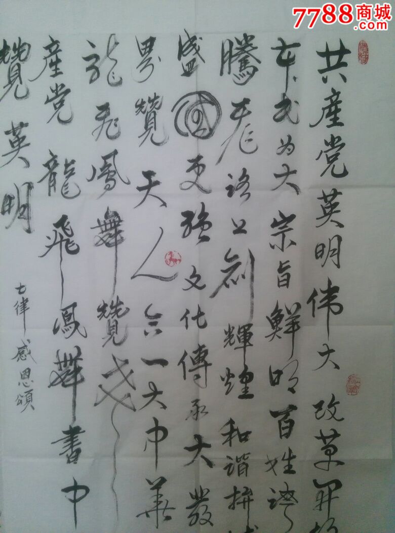 张树元(陕西会员)