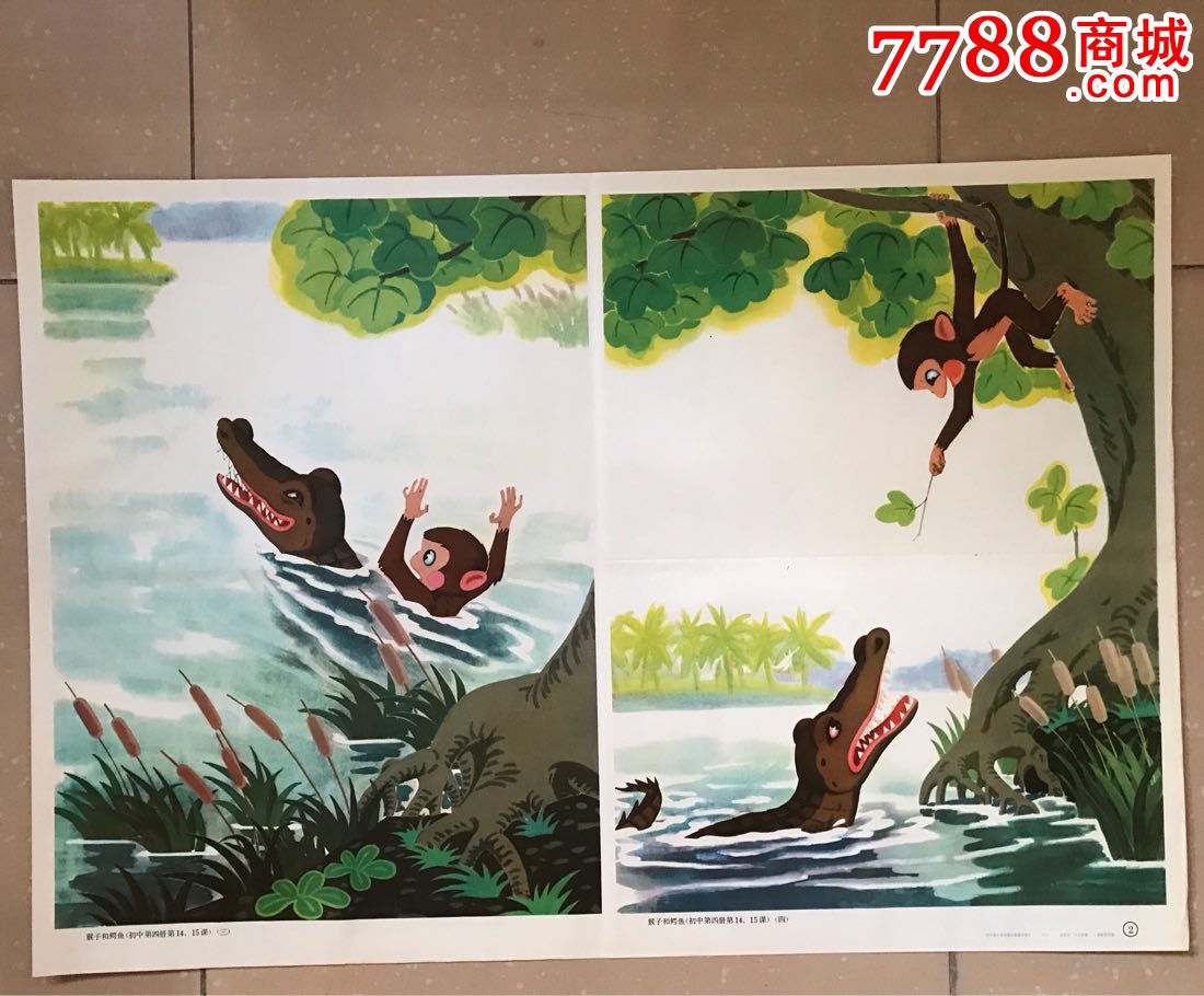 猴子和鳄鱼(三张)