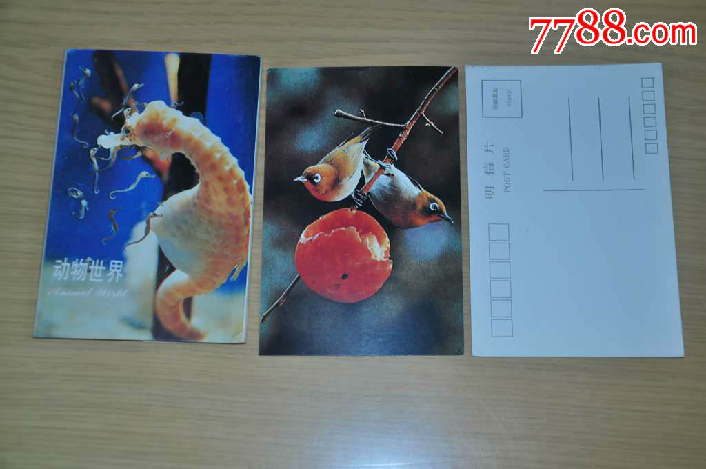 明信片不成套-动物5片(90年代)