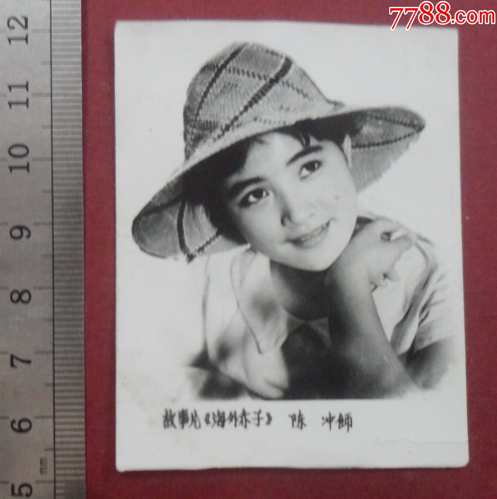 陈冲,"海外赤子"