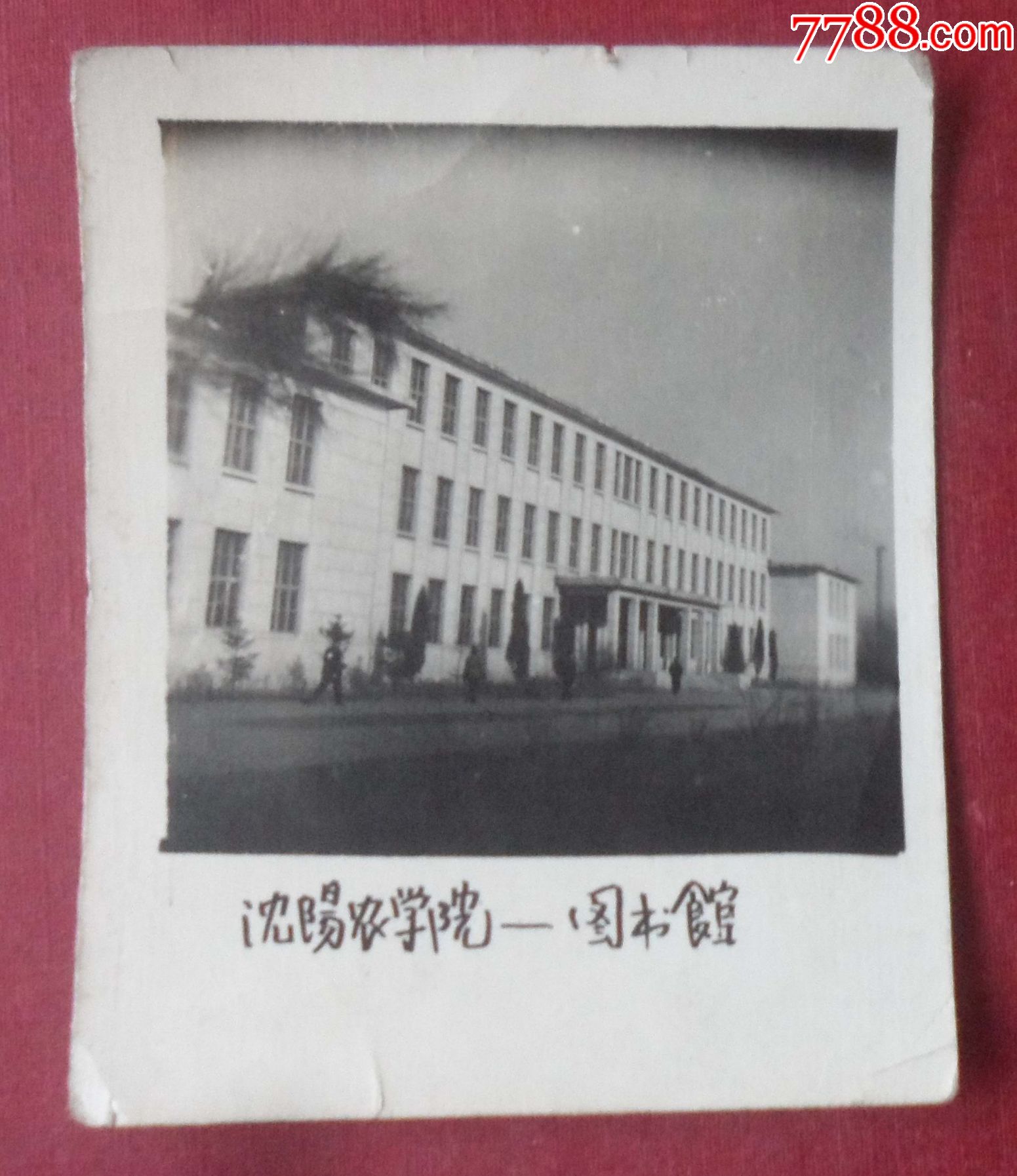 "沈阳农学院图书馆",1964年_老照片_奉天驿写真馆