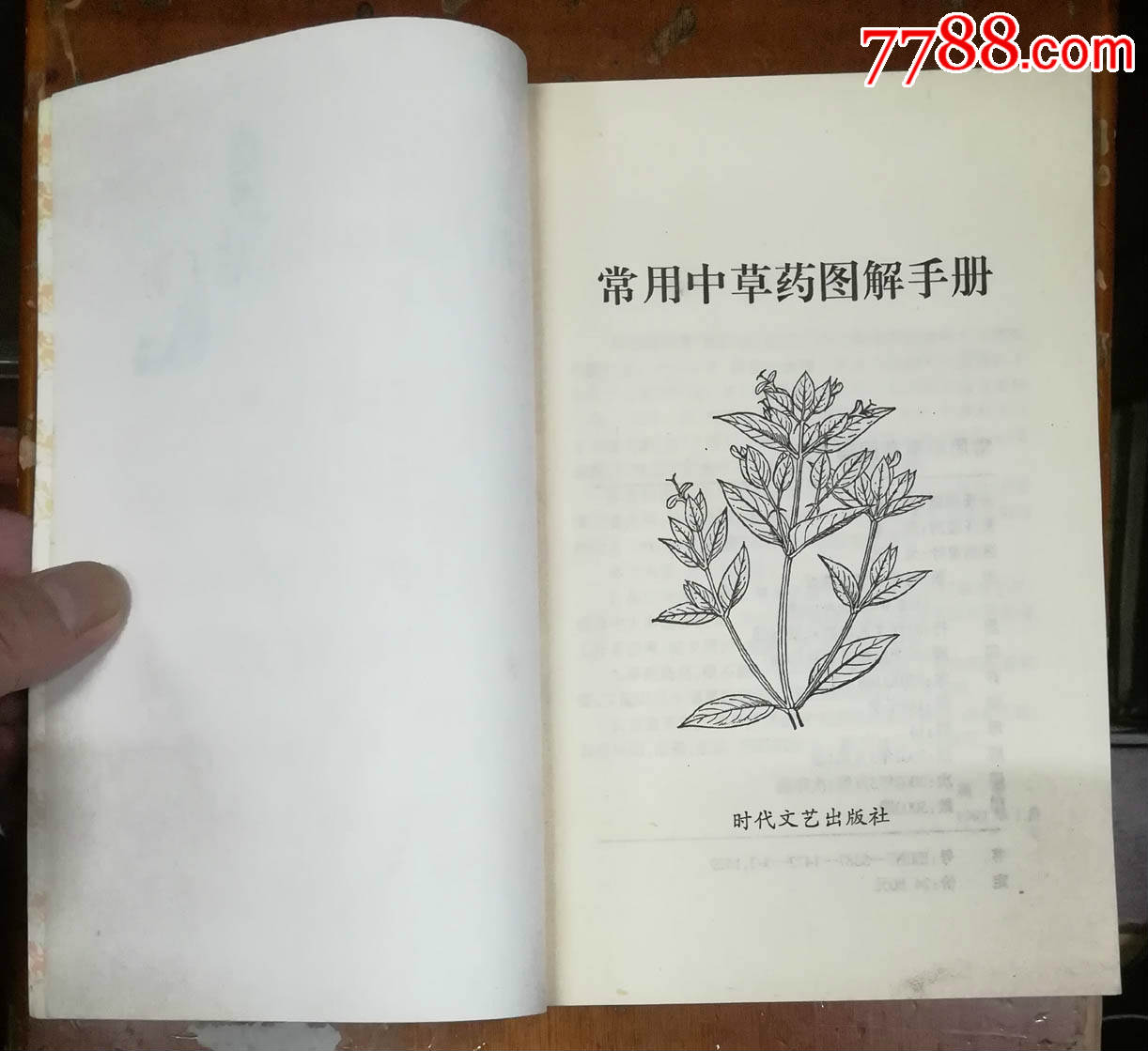 常用中草药图解手册-时代文艺出版社2002年5月1版1印