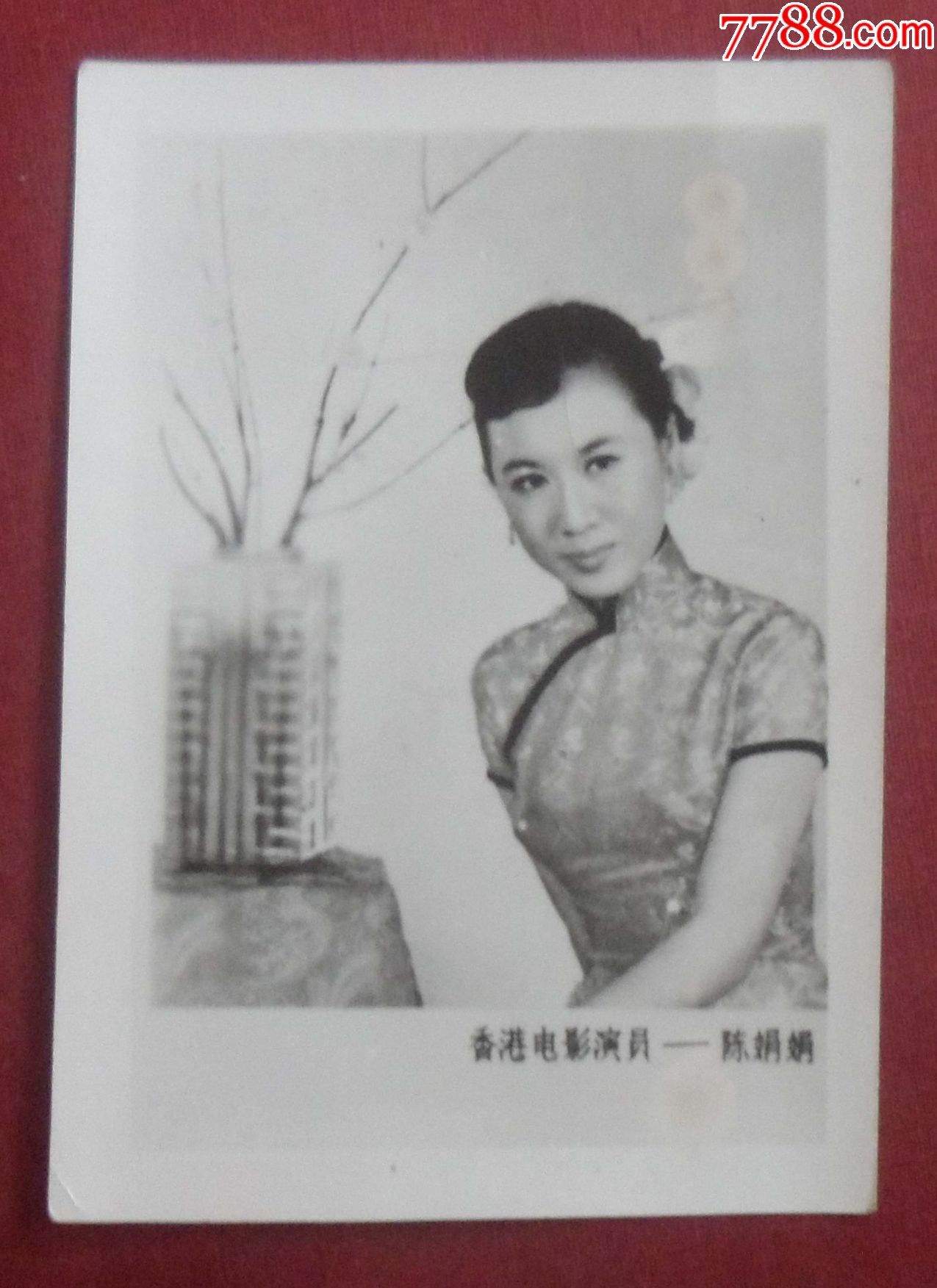 老电影明星陈娟娟