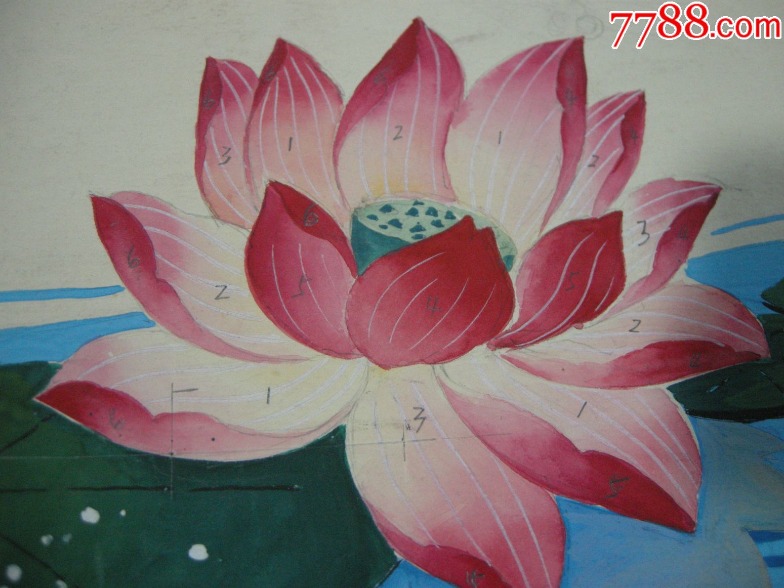 绘画原稿:兰州搪瓷厂搪瓷画稿--81年面盘画稿--荷花【尺寸54*29】