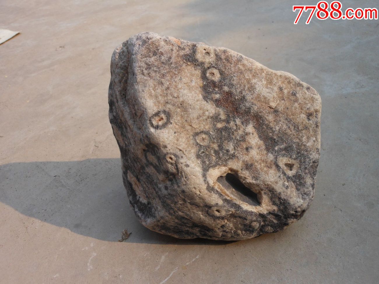 奇石摆件天然原石;怪石怪石头花纹颜色眼睛多13厘米*11厘米*7厘米重约