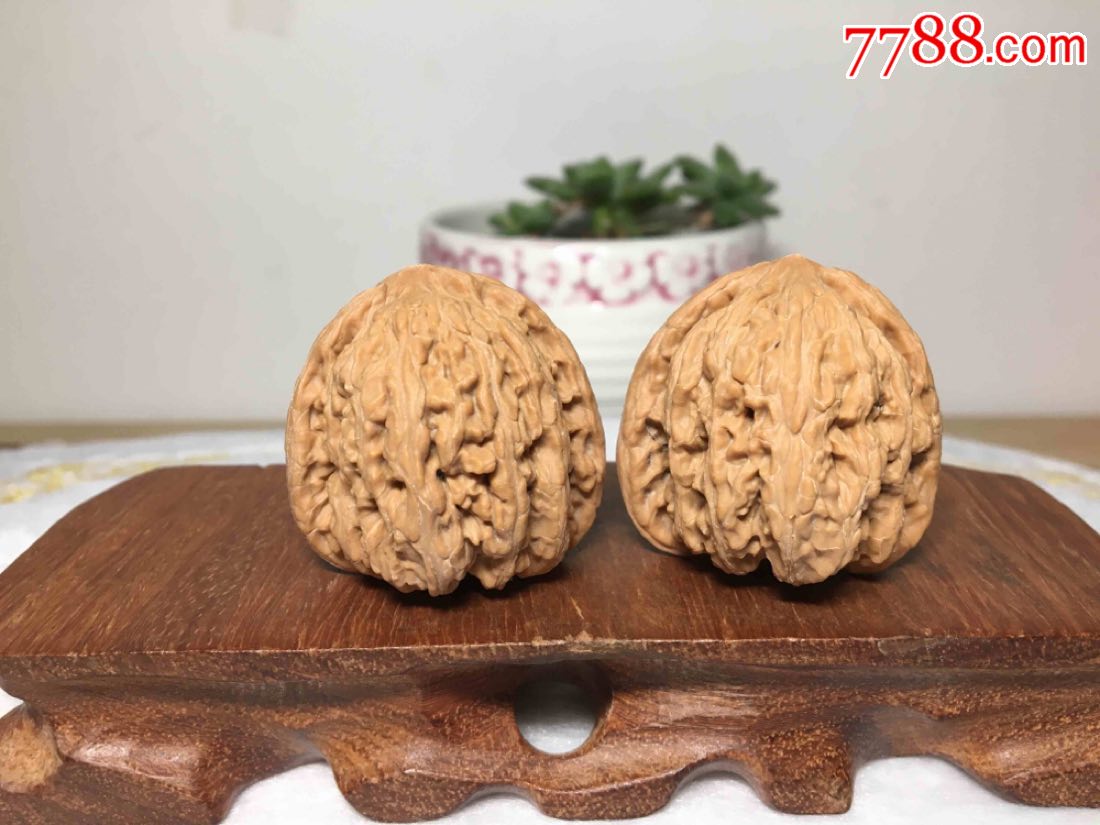 文玩核桃密纹狮子头18#,小众品种