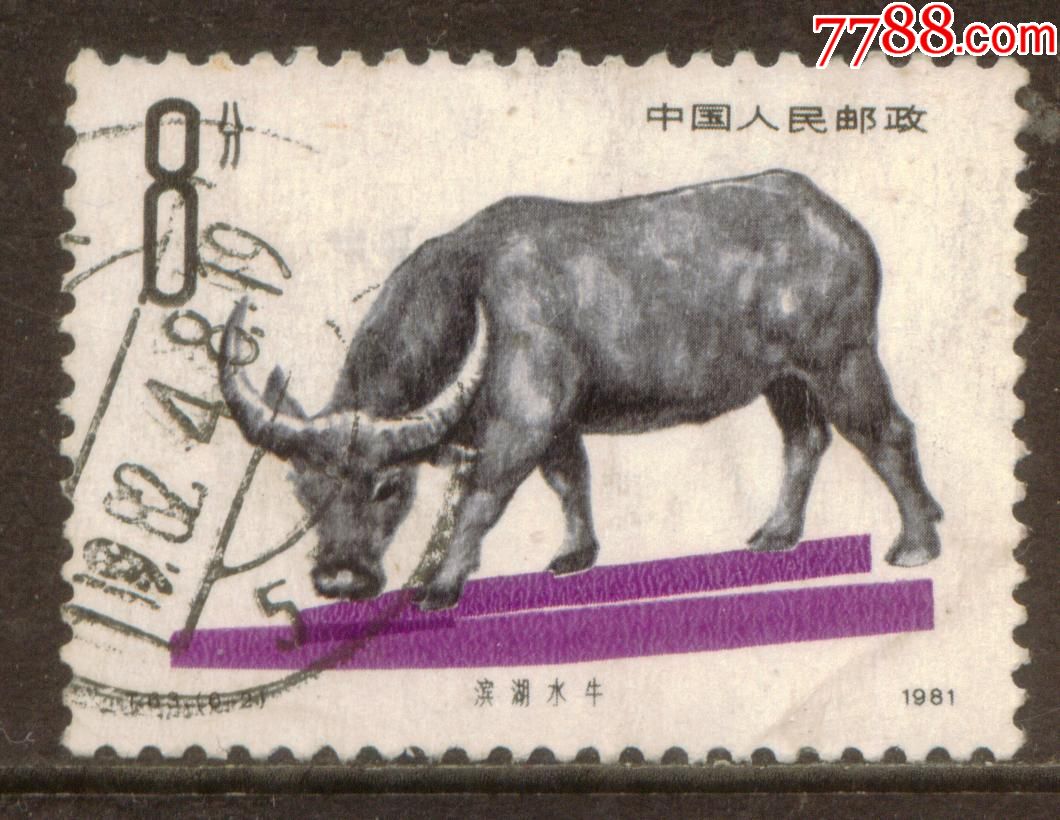 t63中国畜牧业-牛6-2信销邮票上品_第1张_7788收藏__中国收藏热线