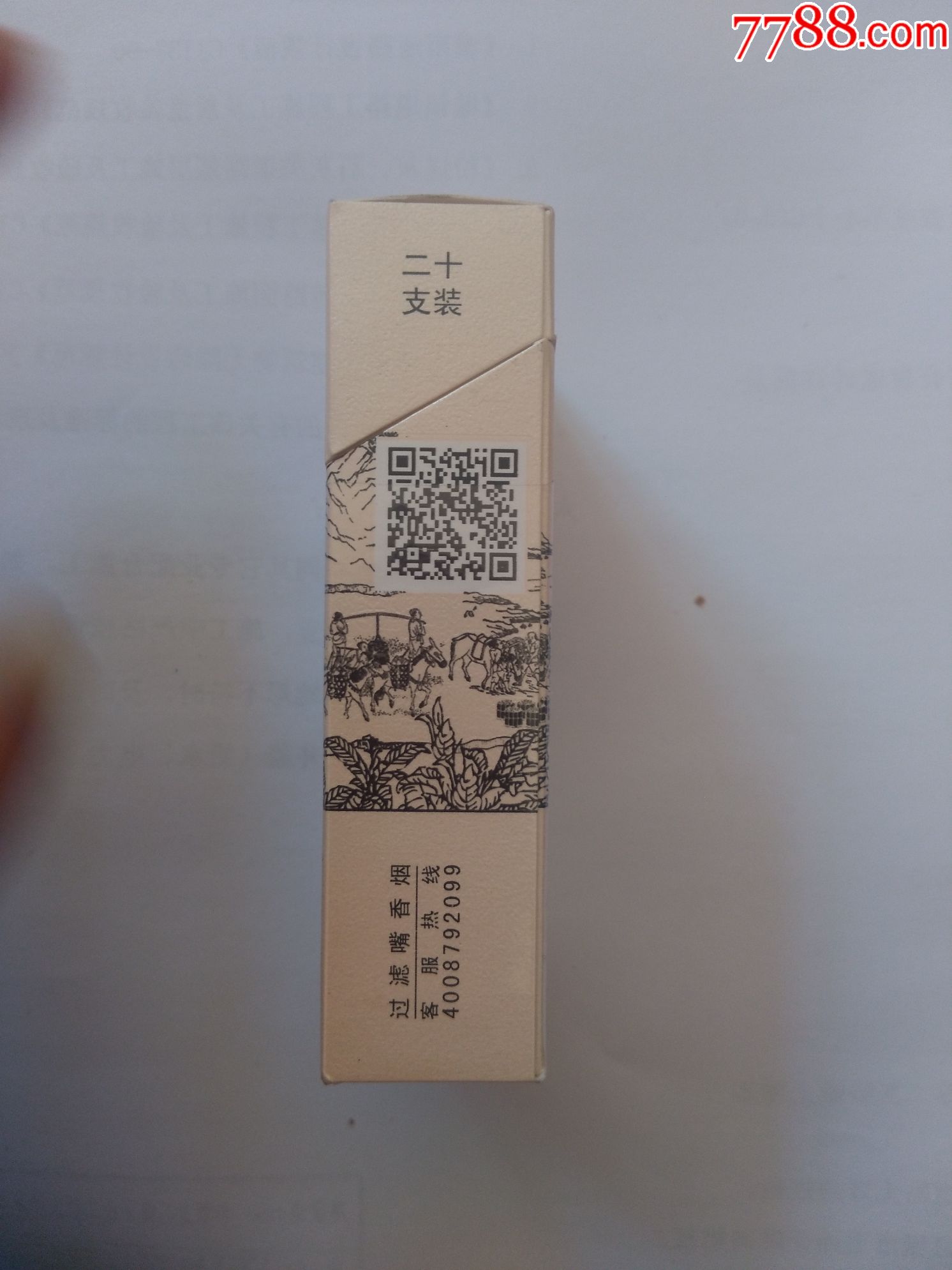 真龙起源12版