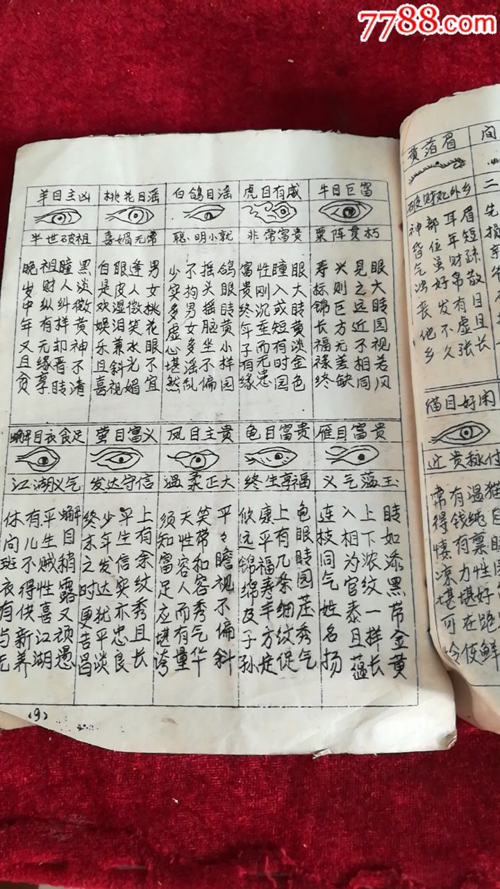 流年运气部位图