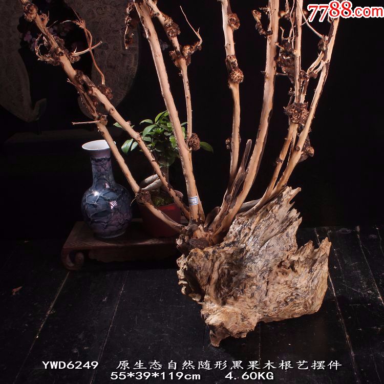 ywd117n原生态黑果木树瘤自然随形根艺摆件宜居品阁根雕新品