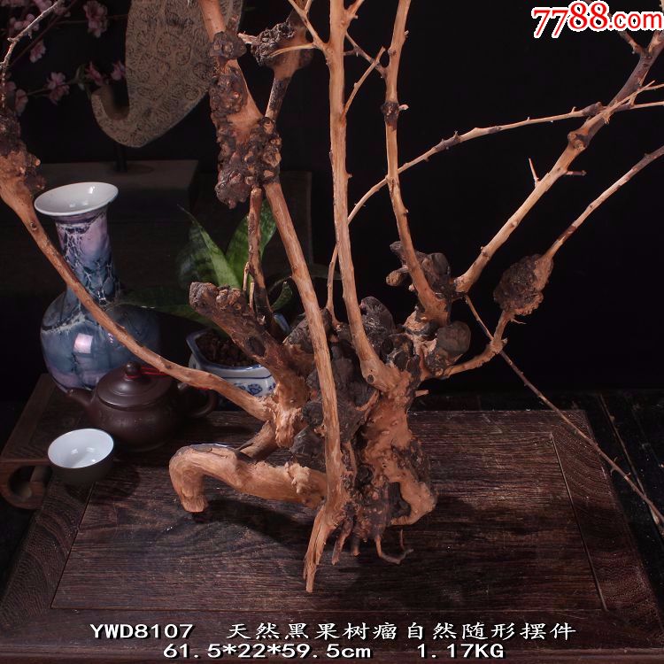 ywd117n原生态黑果木树瘤自然随形根艺摆件宜居品阁根雕新品