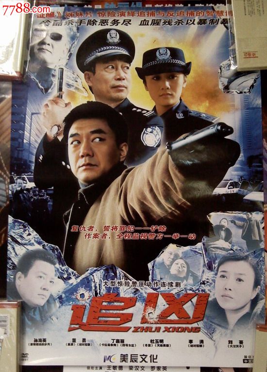 dvd电视海报追凶