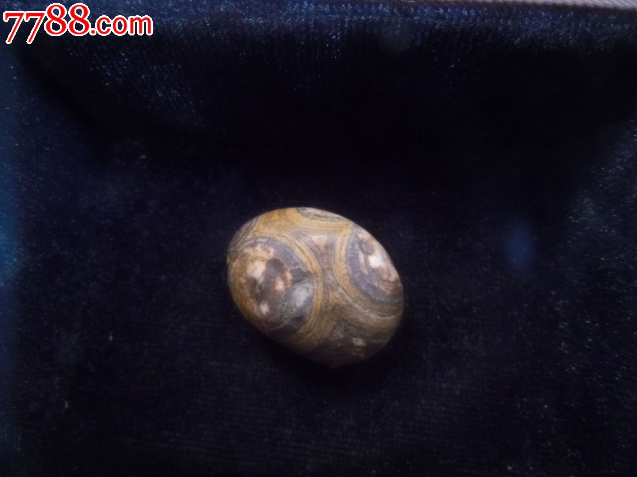 天珠石(眼睛石)