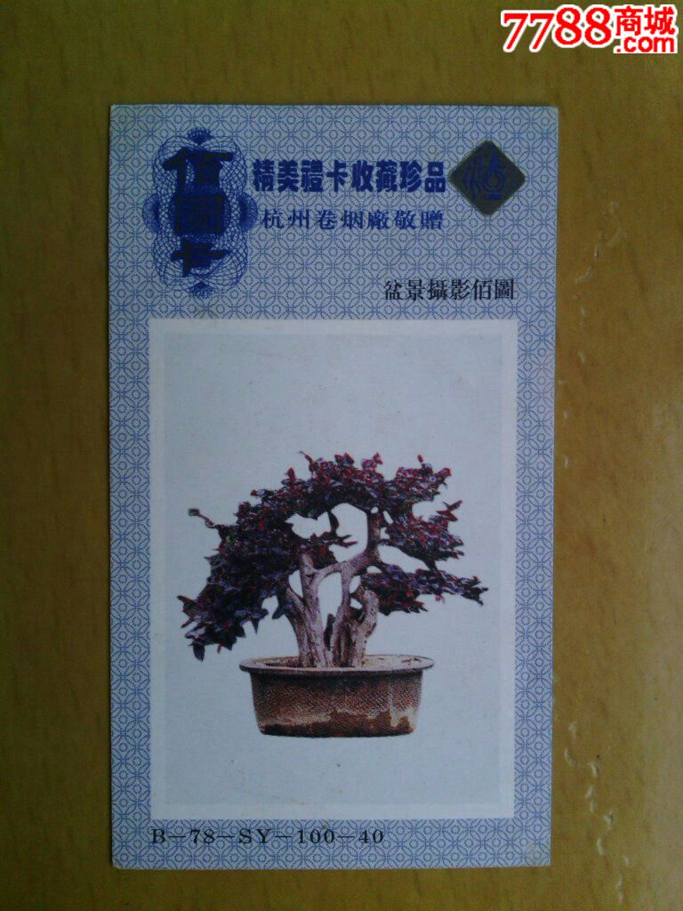 盆景摄影佰图烟卡100-40