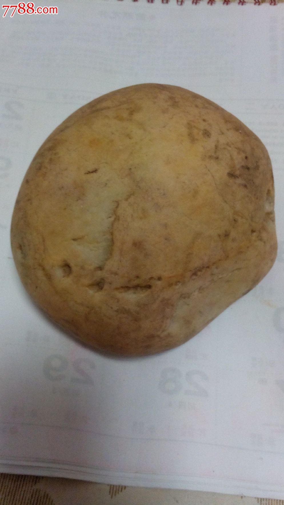 在新疆河里捡来的石头