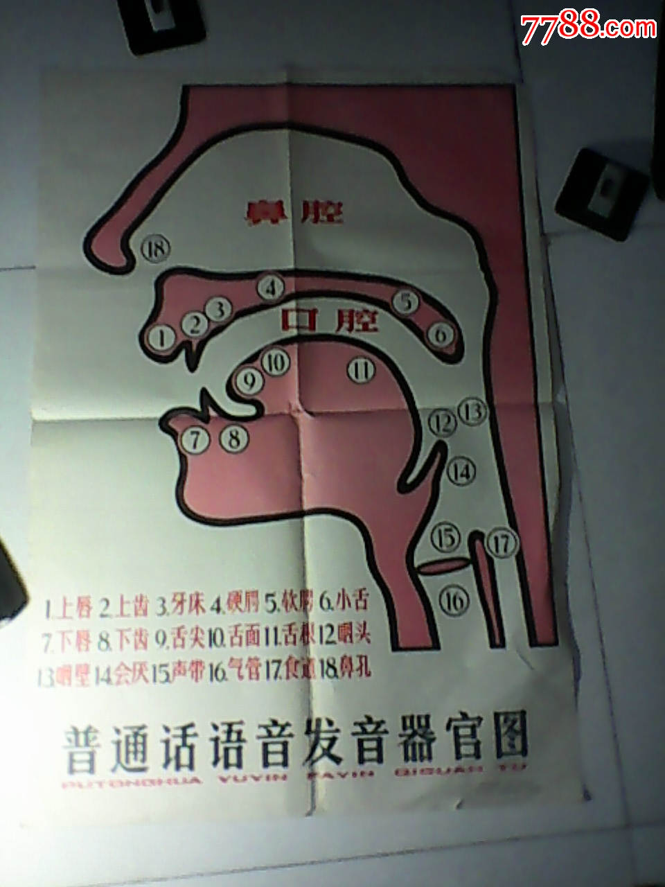 普通话语音发音器官图--【中国文字改革委员会推广组编】