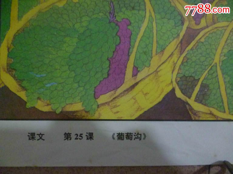 80年代教学挂图(葡萄沟)刘逸枫绘画(抢购价)上海教育出版社