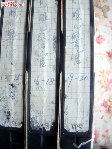 20集国产电视剧(针眼儿警官)1-20集成套。