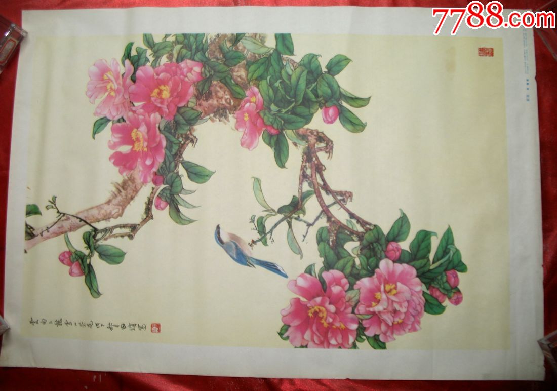 现代名画家田镛作1979年《茶花】一张.画家家里流出.2开.