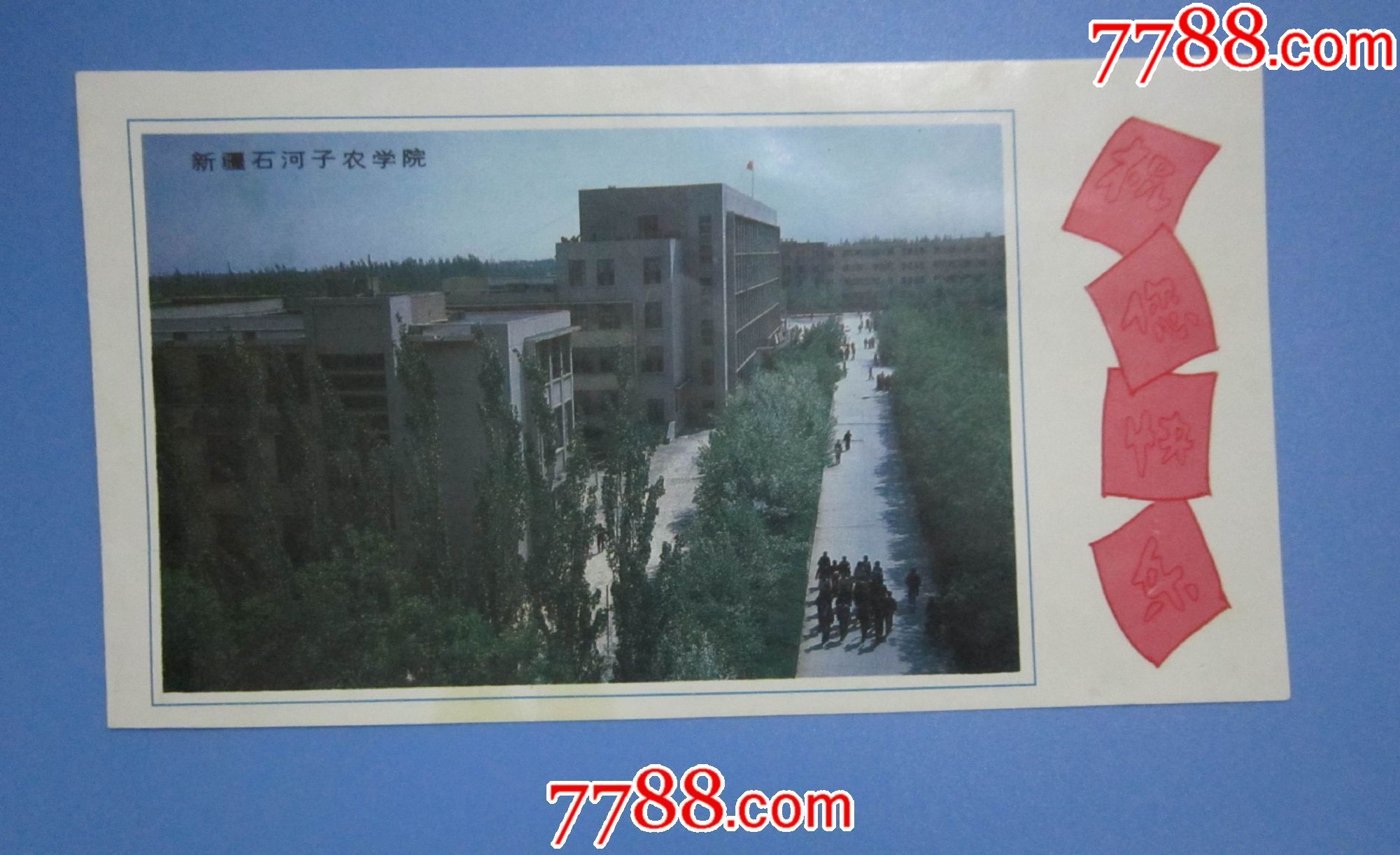 新疆石河子农学院贺年卡