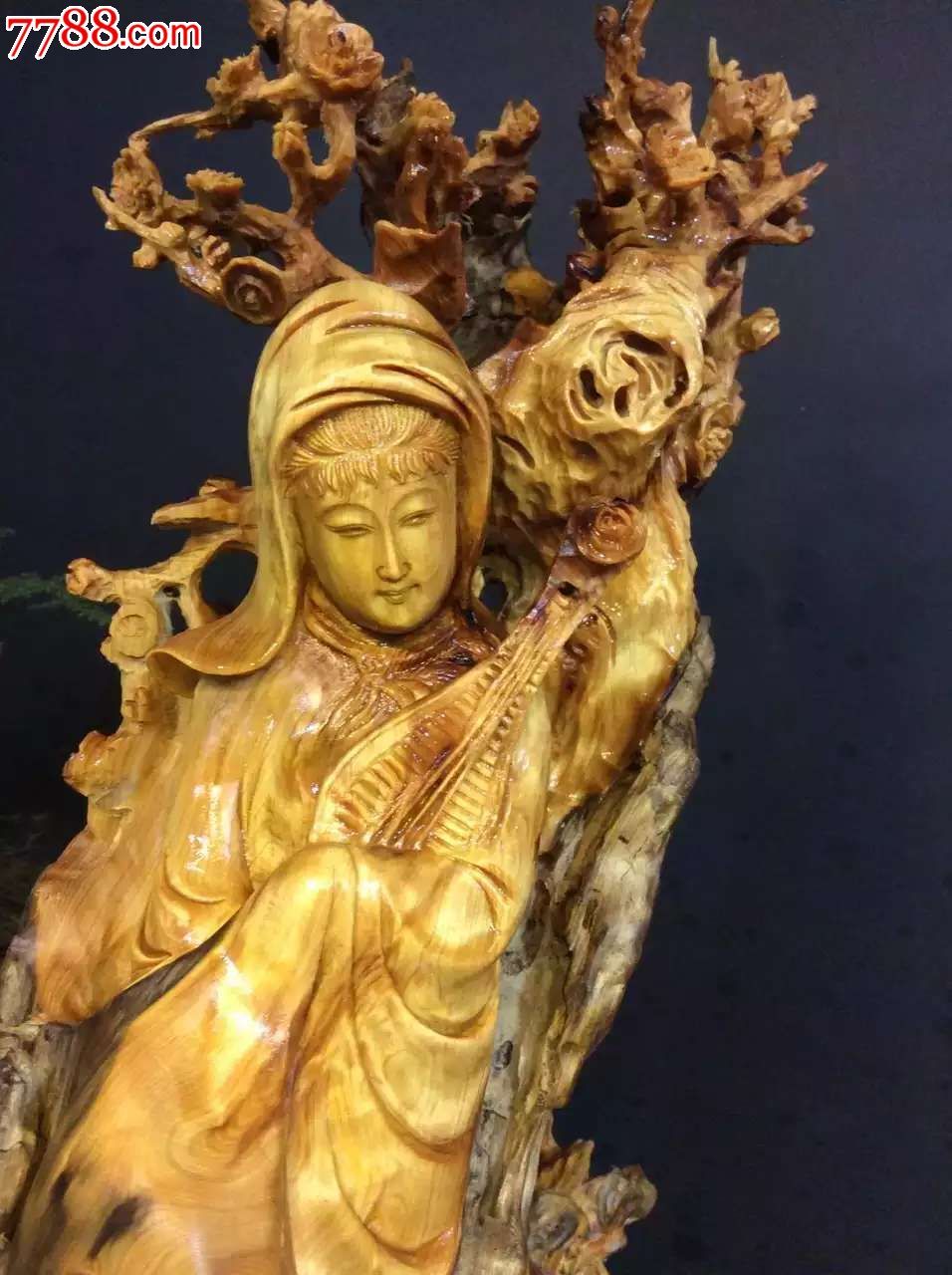崖柏王昭君出赛长38