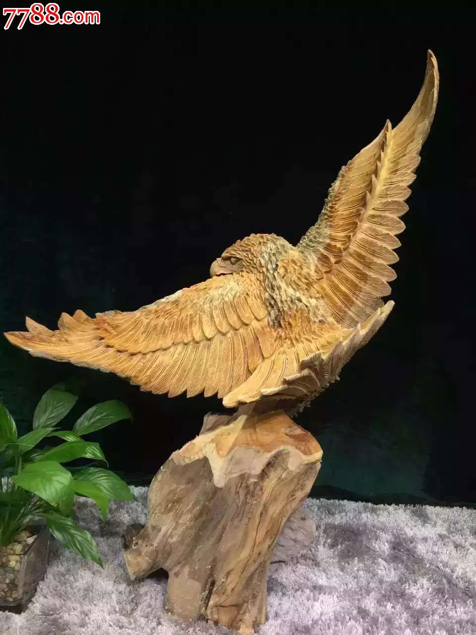 精品展翅飞翔栩栩如生