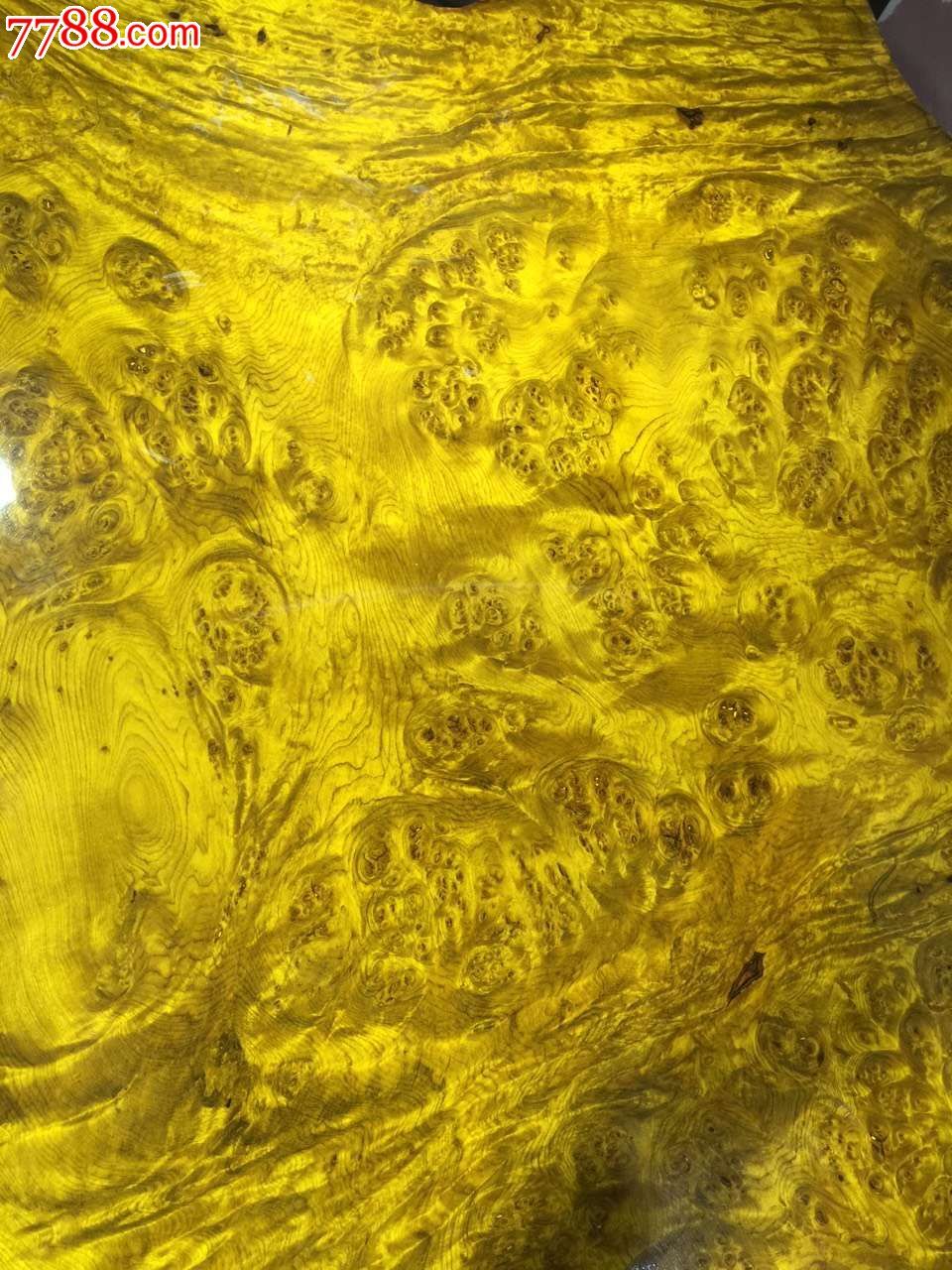 壁纸 成片种植 风景 植物 种植基地 桌面 960_1280 竖版 竖屏 手机