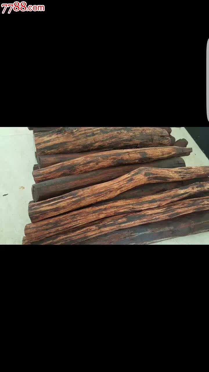 手握3尺剑孤身一人行