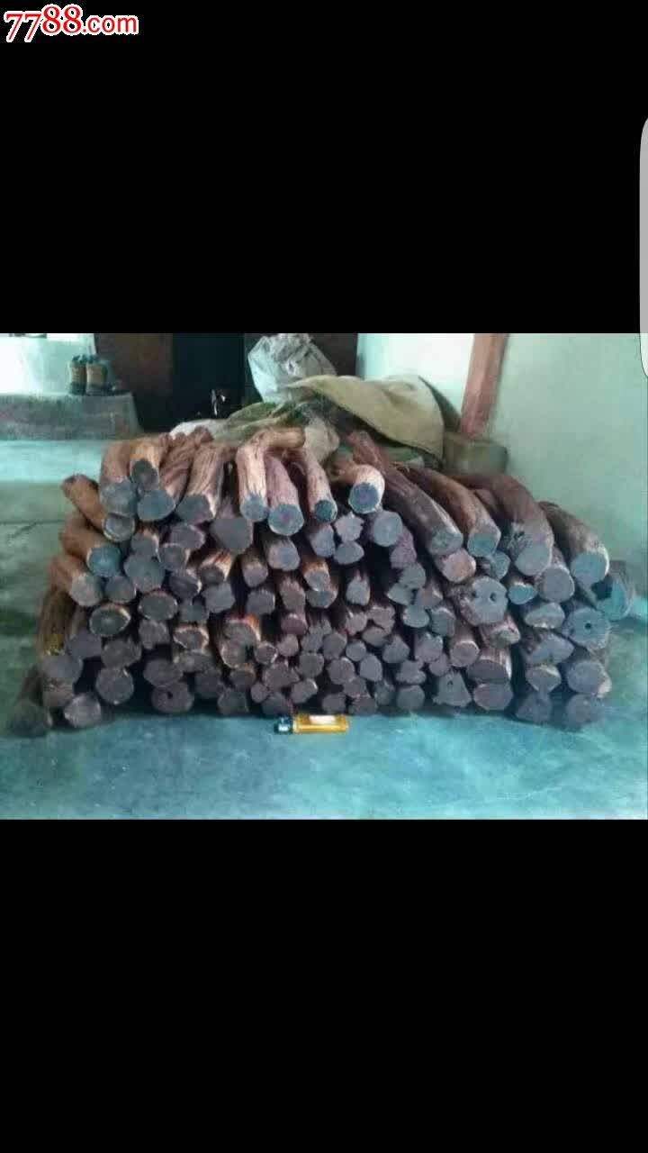 手握3尺剑孤身一人行