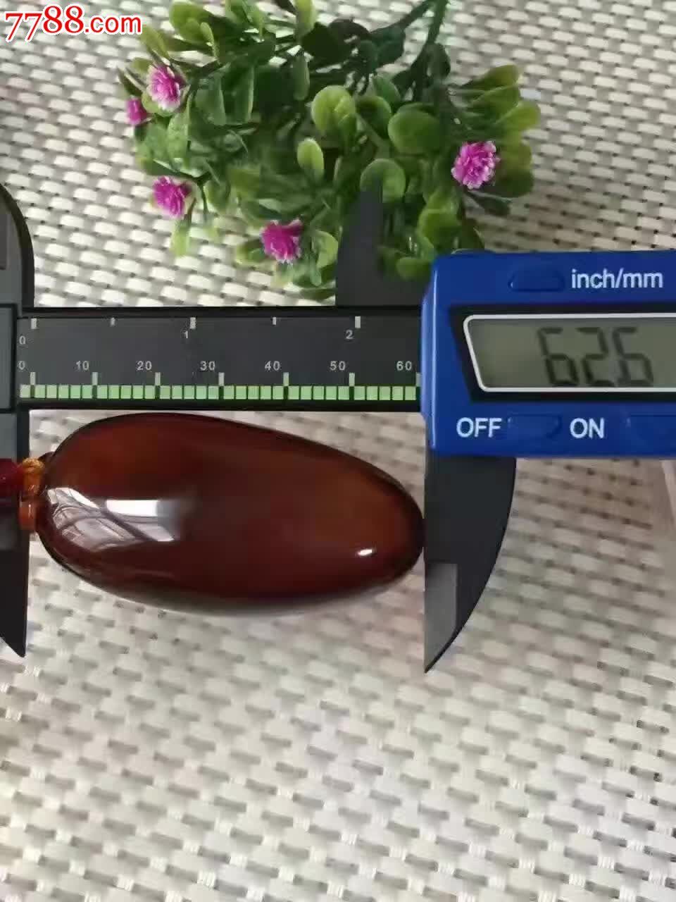 蜜血大福瓜三微粉色泽