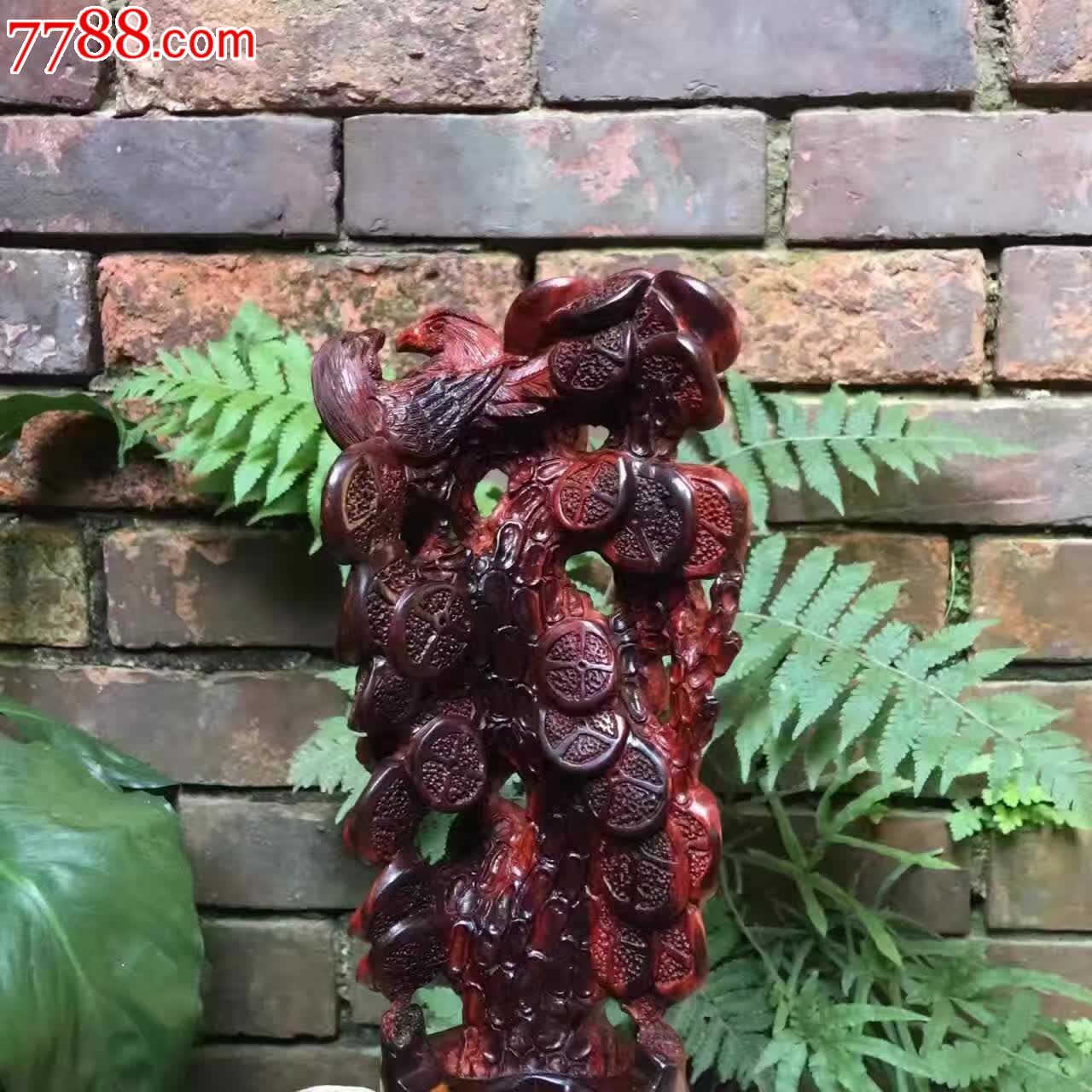 小叶紫檀金钱树千年老