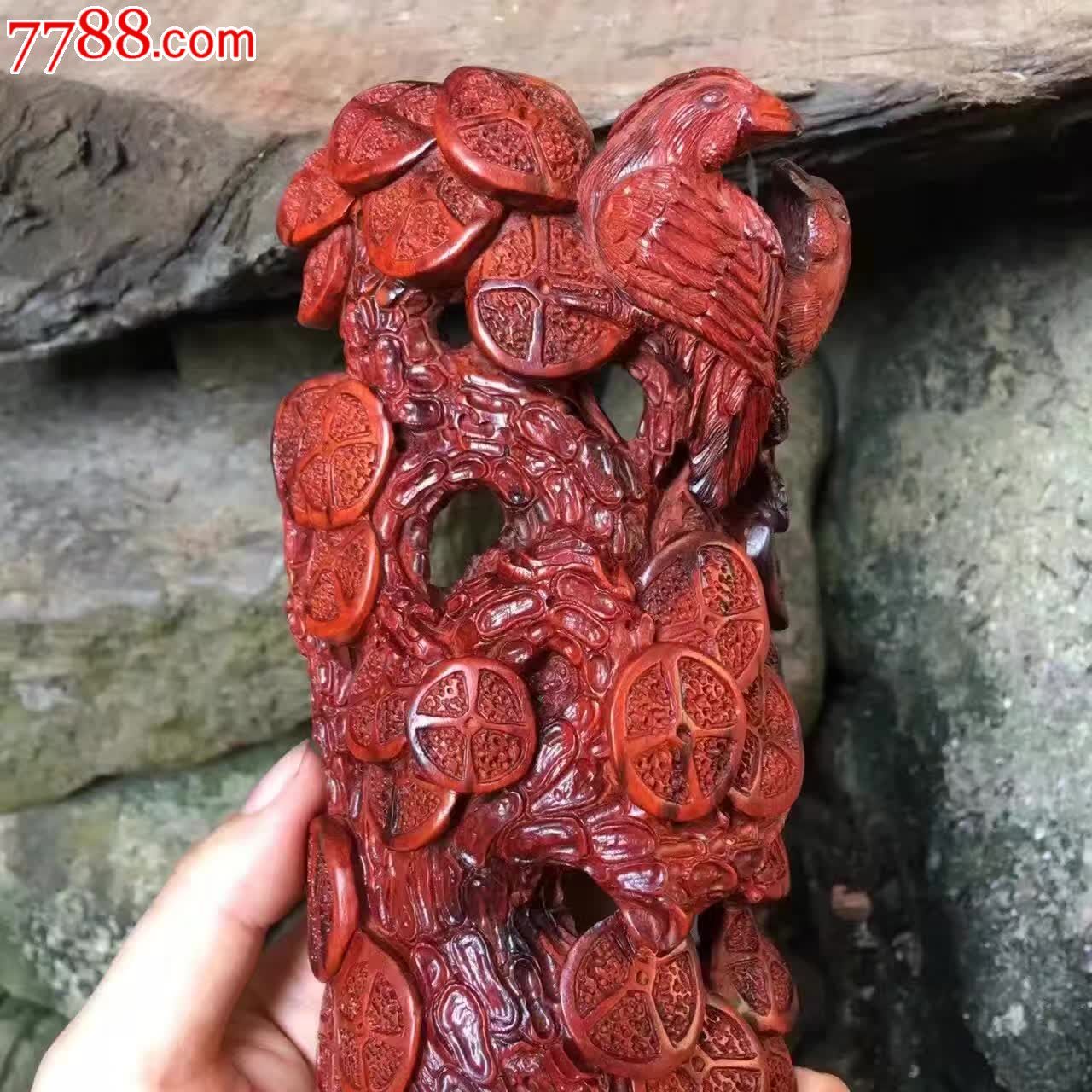 小叶紫檀金钱树千年老