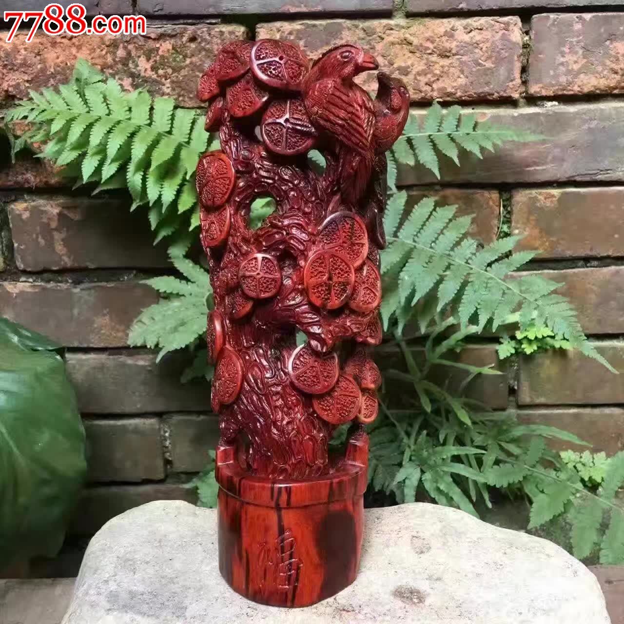 小叶紫檀金钱树千年老