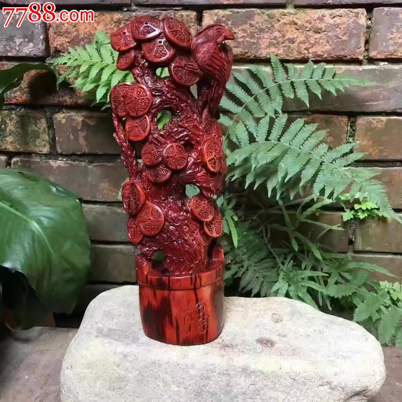 小叶紫檀金钱树千年老