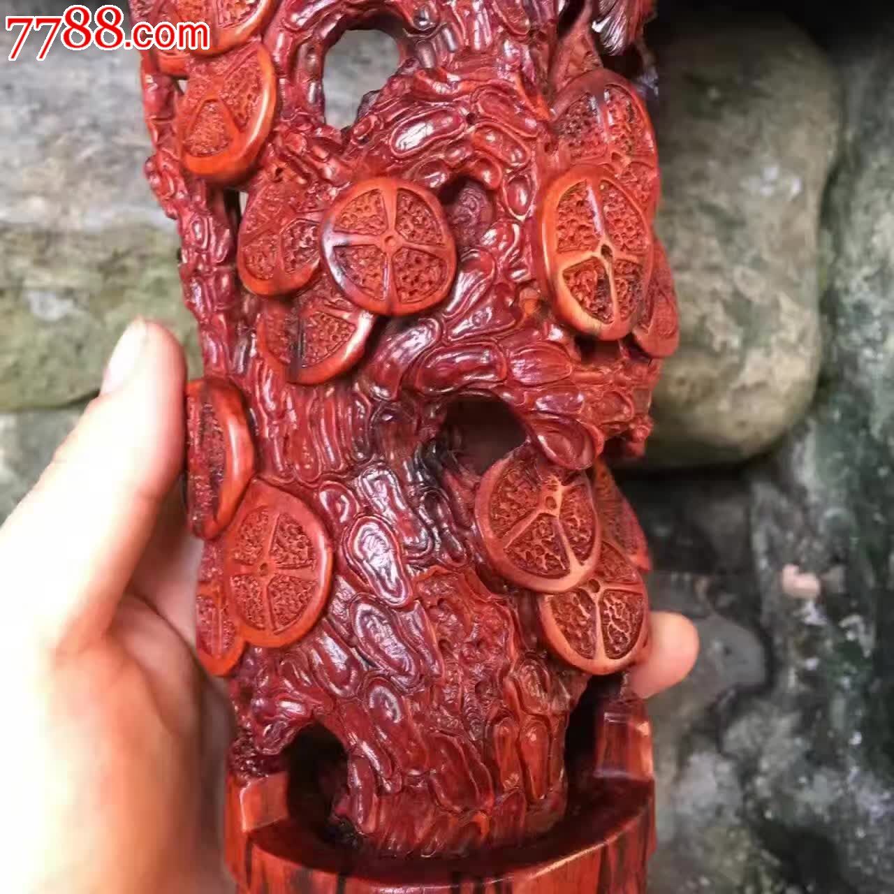 小叶紫檀金钱树千年老