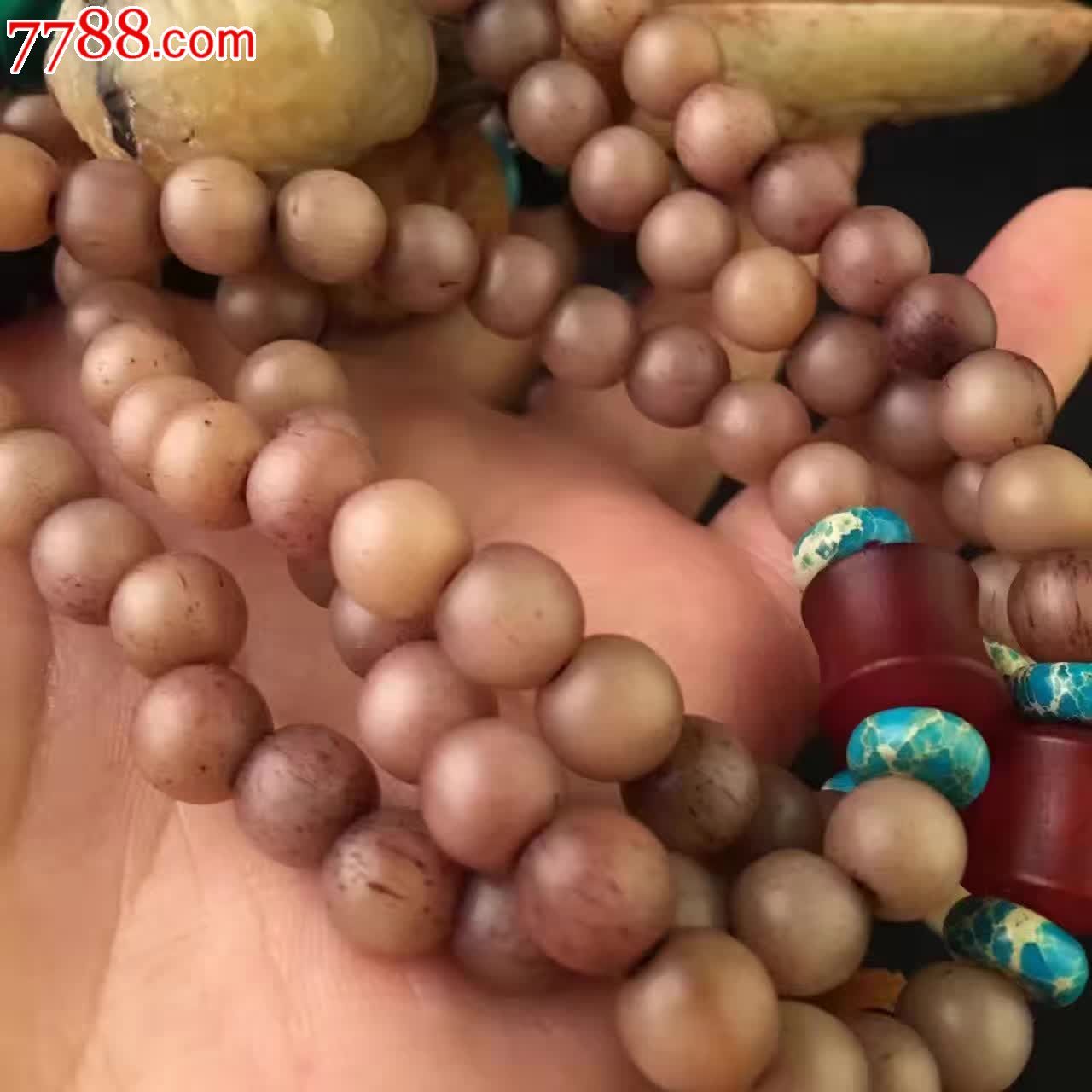 驼骨紫血料8圆珠精心