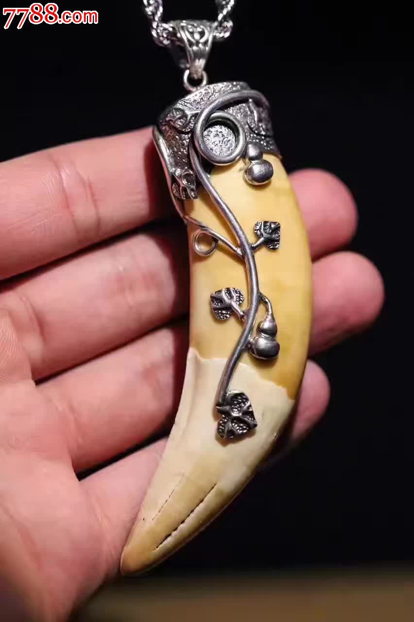 葫芦藤上犬齿镶嵌银葫